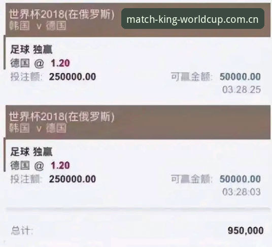 2026世界杯买球平台挑选完整指南：从菜鸟到老手的实用攻略